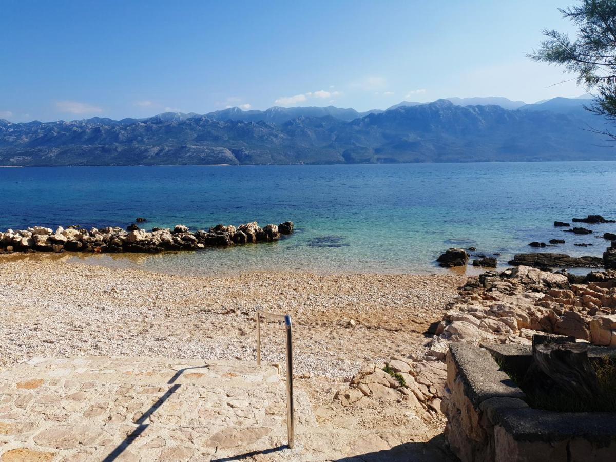 RažanacOaza公寓 外观 照片